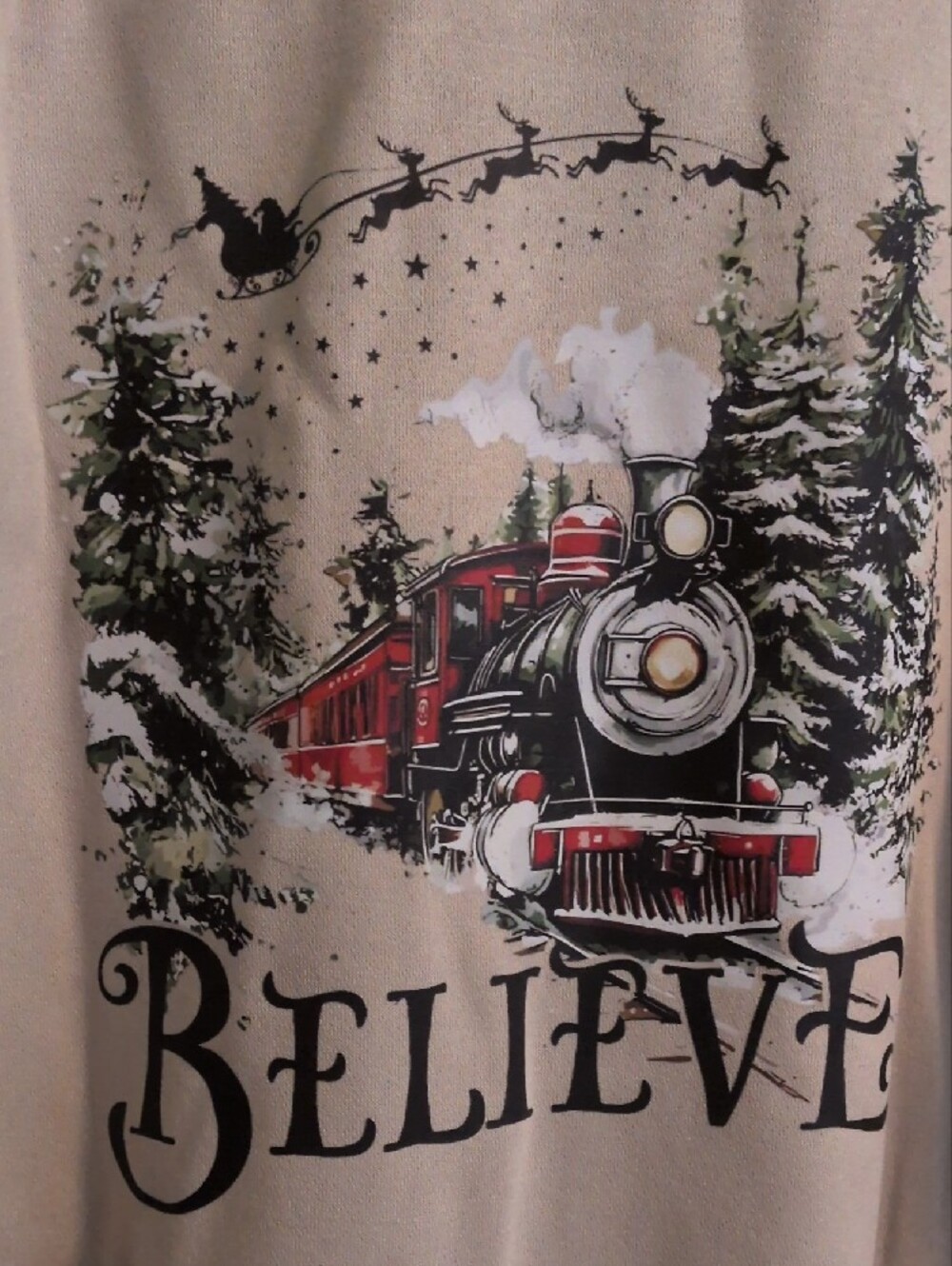 Believe Train Polar Express Crewneck Sweater - Beige